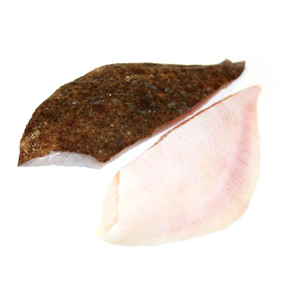 Tarbotfilet met huid diepvries porties